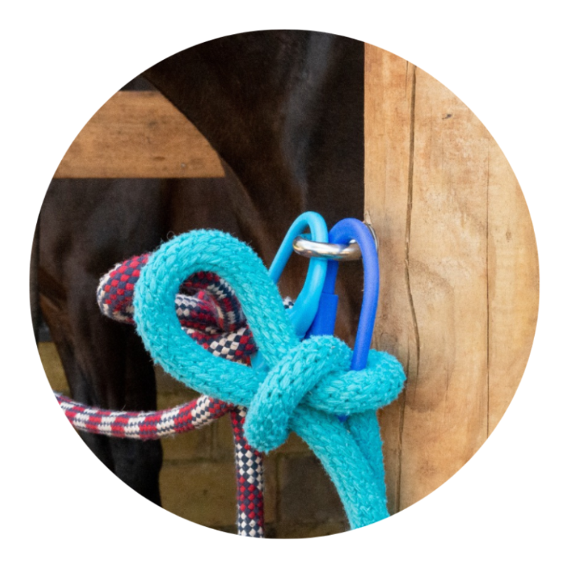 Safety Tie The Safest Way to Tether a Horse